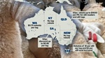 Call for all states to provide discounted sheep eID tags