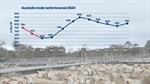 Lamb prices predicted to rise in winter as supply tightens