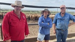 Budds build cattle supply chain delivering top results