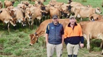 Big genetic gains revealed in dairy herds embracing new breeding tools