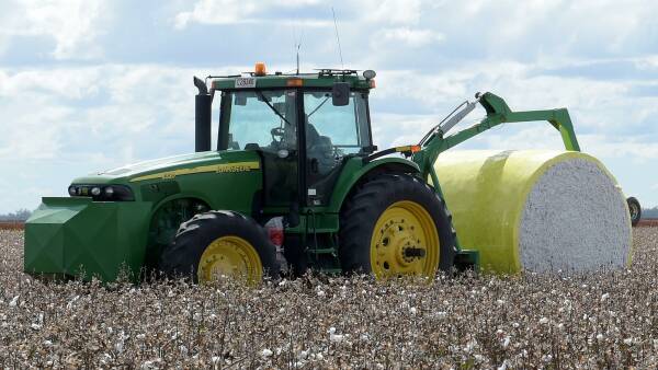 Cotton highlights natural capital as the new soil carbon