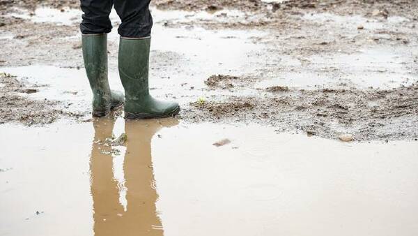 A look to Britain: farmer confidence falls to 'all-time low' amid wet weather