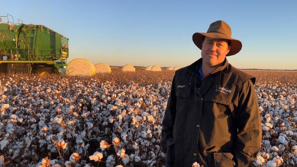 Cotton grower of the year nominees announced