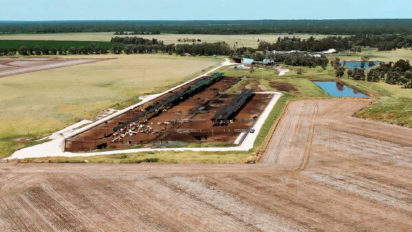 Wamba farms at Chinchilla offer cropping, feedlot and piggery for sale