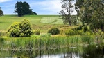Lush grazing property for sale in Gippsland complete with motocross track