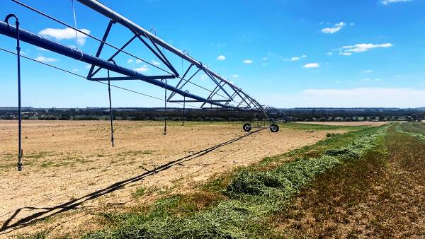 Lucerne farm sale asks buyers to do their sums on the hay's value