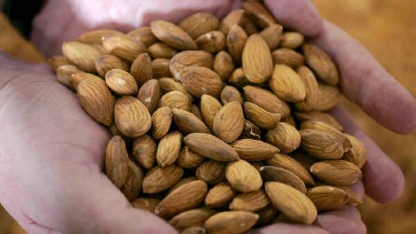 Australia's biggest grower of organic almonds on the market