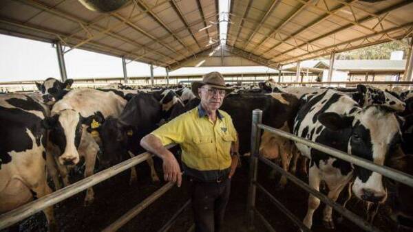 Highly respected NSW dairy farmer Colin Thompson dies after illness