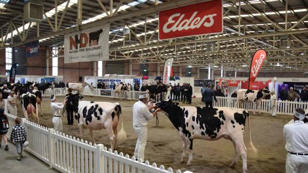 Final day of judging underway at Victorian Winter Fair at Bendigo