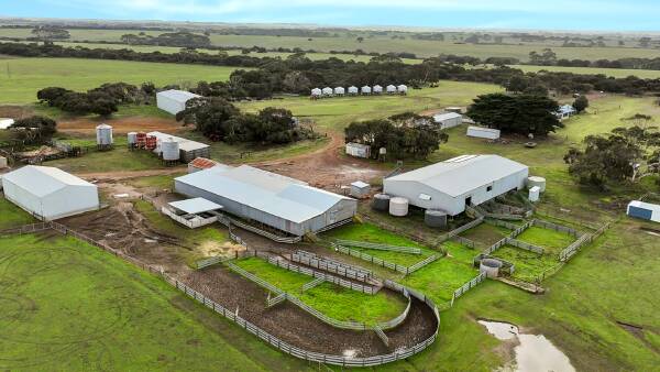 Walk-in walk-out offers weighed up for top KI sheep property