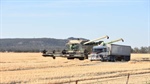 Skilled labour requirements amps up grain sector worker shortages