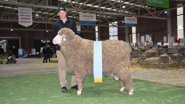 Collinsville claims supreme honour at Bendigo