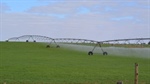 Web-based tool helps farmers make better irrigation investment choices
