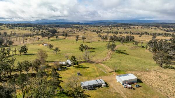 High performance breeding, backgrounding country with altitude | Video