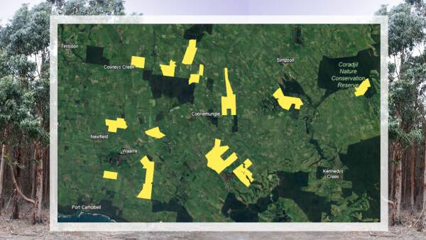 Carbon credit register reveals how blue gums are devouring prime dairy land