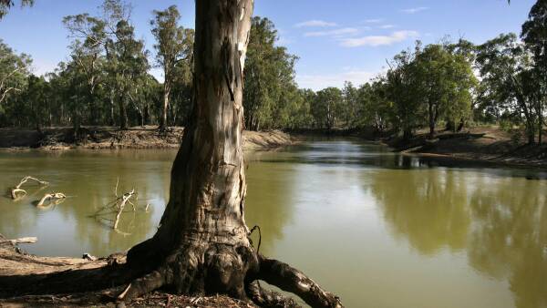 Thirsty work: Buybacks loom but no plans to limit water-hungry crops