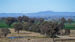 Highly productive, tightly held Molong country hits the market | Video