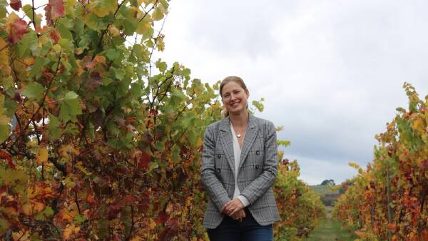 Rich grants to help grow wine tourism and international trade