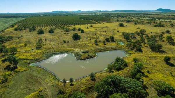 Very well developed cattle property with leucaena makes $3061/acre