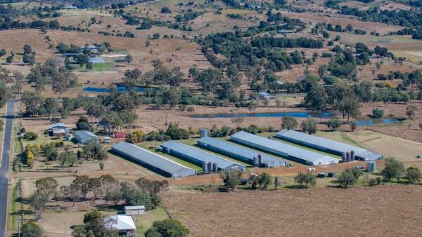 RSPCA approved poultry farm for 120,000 birds on 32ha for sale | Video