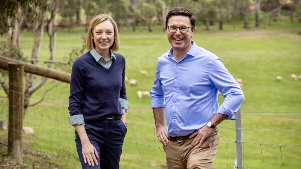 Nationals' election team bedding down as key preselection contests decided