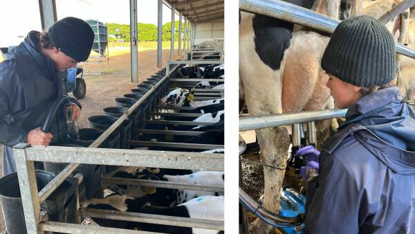 How a scholarship is helping fuel this young person's interest in dairy