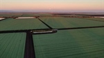 Irrigated blue chip Darling Downs agricultural asset hits the market