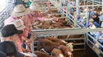 Meat demand and big NSW, Qld crop push farm production values higher