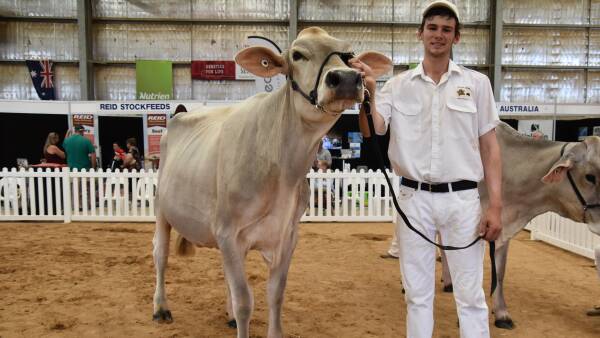 Australia's top young dairy cattle judges selected for national finals