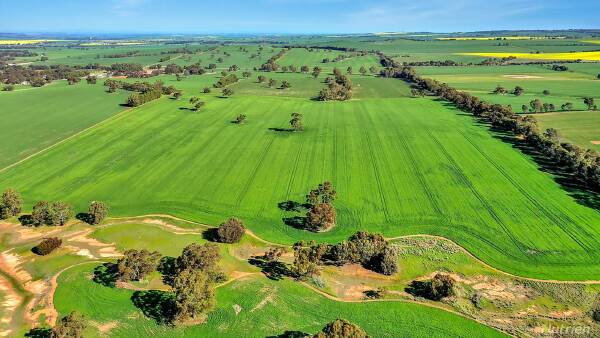 The Parker family is selling their large cropping farm in the Mid North