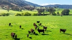 Lots of lush grazing country in well held Tallangatta Valley