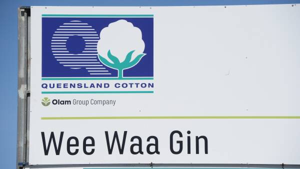 Olam-ACCC get serious about gin sale - public comments sought