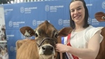 South Australian takes top honours in national dairy young paraders event