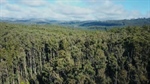 Government, industry welcomes EU deforestation regulations delay