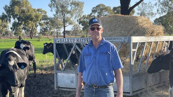 Fertility focus underpins genetic boost for Riverina dairy farmer