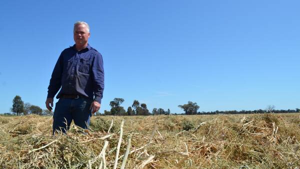 'You can't plan for frost': One freezing night ruined Jason's entire crop