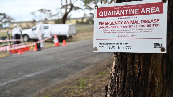 Govt invests $95m to combat deadly H5N1 bird flu threat