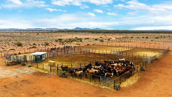 Martins Well Station back in spotlight after a buyer stampede last time