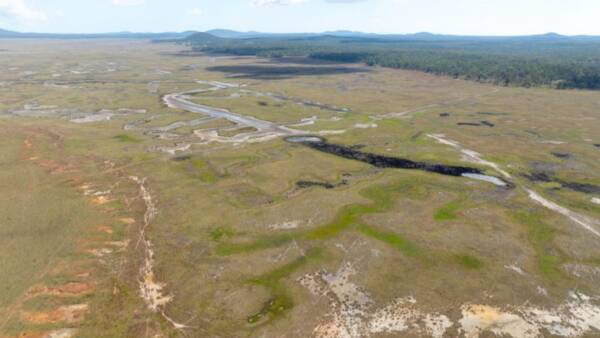 Hollins Bay with marine plains able to fatten cattle all year round