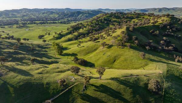 Scenic Nimbo Station presents productive cattle and sheep country