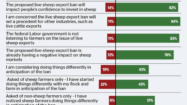 Rapid change afoot up the paddock in response to live sheep export ban