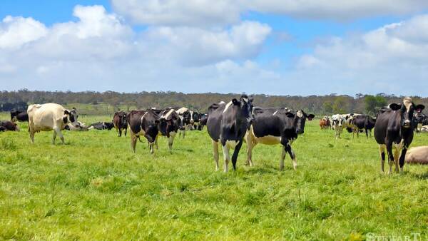 Double the dairy | Two Cobden district farms offer buyers a tough choice