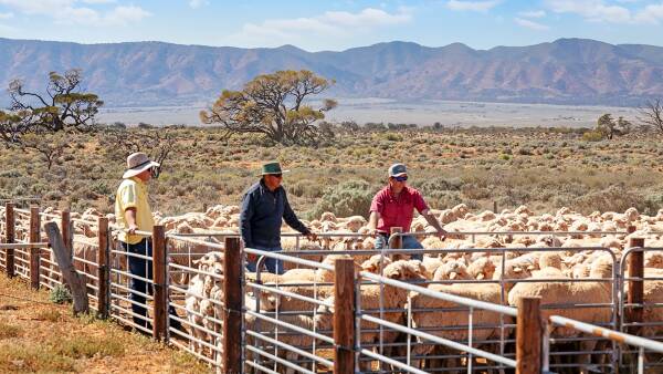 SA outback station with Rawlinna-like features set for auction this month