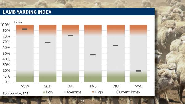 Lamb volumes spring into action