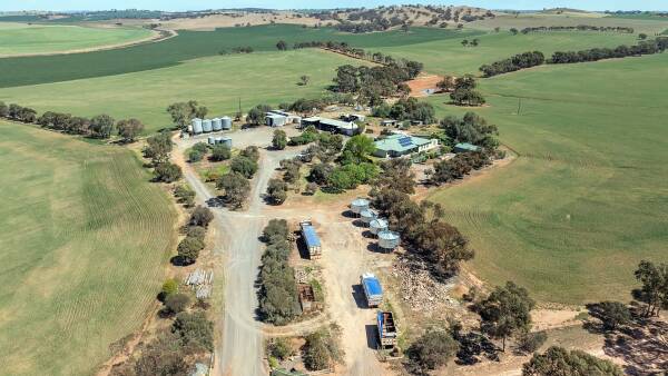 Brisk bidding at SA auction as family farewells farm after 100 years