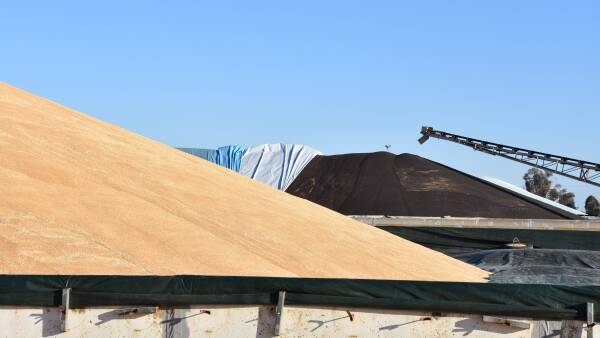 GrainCorp worker dispute resolved, removes harvest silo strike threat