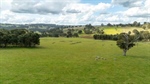 Very well developed grazing country with excellent pastures, quality water