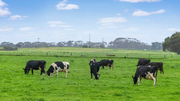 Unique south-west Victorian dairy farm smashes price expectations