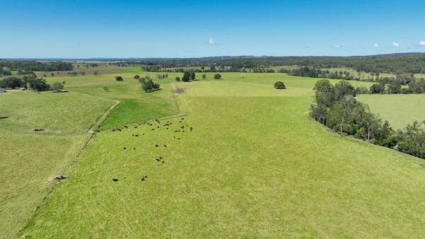 Emerald Downs delivers versatile Northern Rivers prime agricultural land