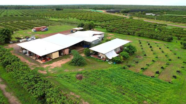 Award-winning Harvest Hill Orchard presented walk in, walk out | Video